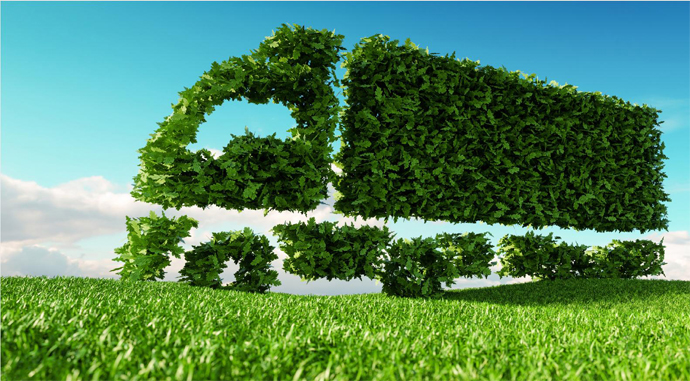 Carbon Footprint and Green Logistics