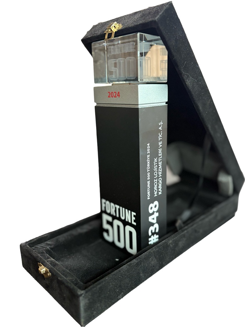 FORTUNE 500