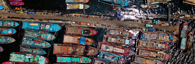 Ro-Ro Taşımacılığı Nedir?