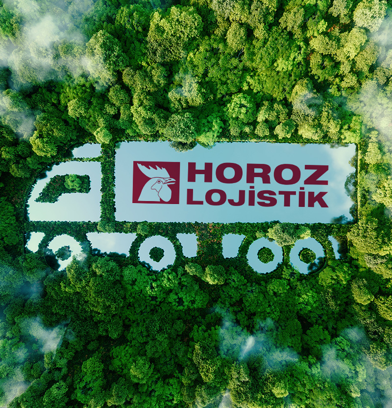 Our Sustainability Reports